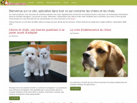 chiens-chats.be