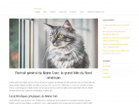 chat-maine-coon.com Thumbnail