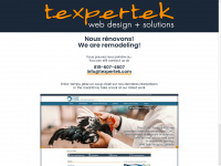 texpertek.com