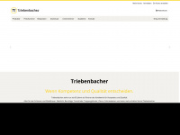 triebenbacher.de Thumbnail