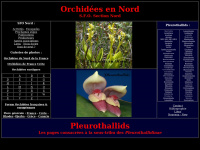 Orchid-nord.com