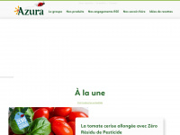 azura-group.com Thumbnail