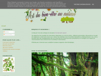bienetre-naturel.blogspot.com