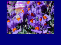 floralpimages.com Thumbnail
