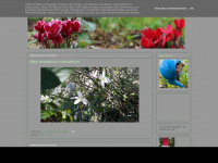 Fleurs-plantes.blogspot.com