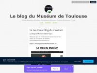 museumdetoulouse.tumblr.com