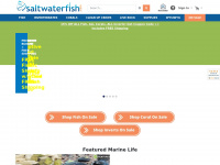 saltwaterfish.com Thumbnail
