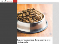 chats-france.com