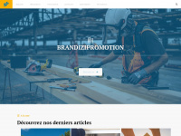 brandizipromotion.com