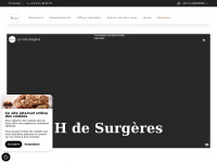 h-de-surgeres.fr