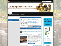 champignonscomestibles.com Thumbnail