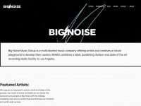 bignoise.com Thumbnail