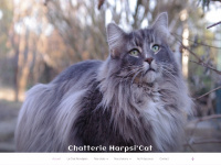 chats-norvegiens-harpsicat.fr Thumbnail