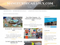 mangeurdecailloux.com Thumbnail