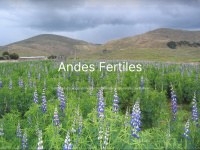 Andesfertiles.org