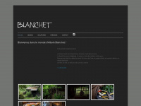 blanchet-albain.ch Thumbnail