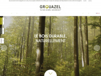 grouazel-group.com Thumbnail