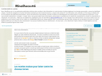 blogibeaute.wordpress.com