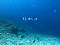 Stravius.com