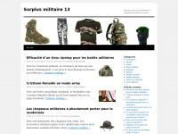 surplusmilitaire13.com Thumbnail
