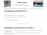 Olivieresnault.com