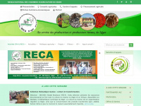 reca-niger.org Thumbnail